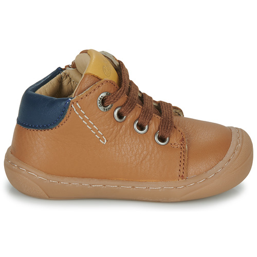 Aster - CHYOSO - Camel
