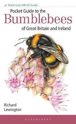 Pocket Guide to the Bumblebees of Great Britain and Ireland - Bloomsbury Wildlife Guides (Paperback)