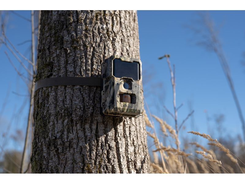 Dörr Kamera Wildkamera SnapShot Mini 5.0 Pro Überwachungskamera für hochauflösende Wildtierbeobachtung und Sicherheitsüberwachung