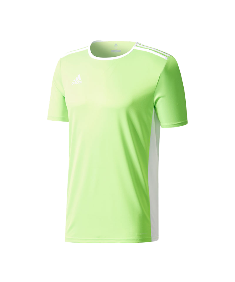 adidas Entrada 18 Trikot kurzarm Kids Grün Weiss
