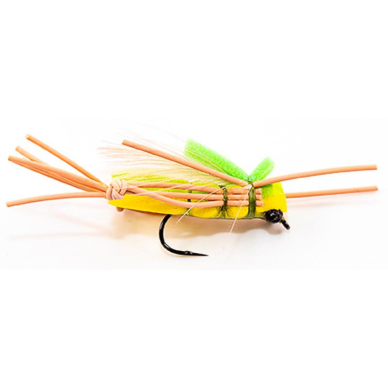 Mouche Devaux Terrestre Saut04
