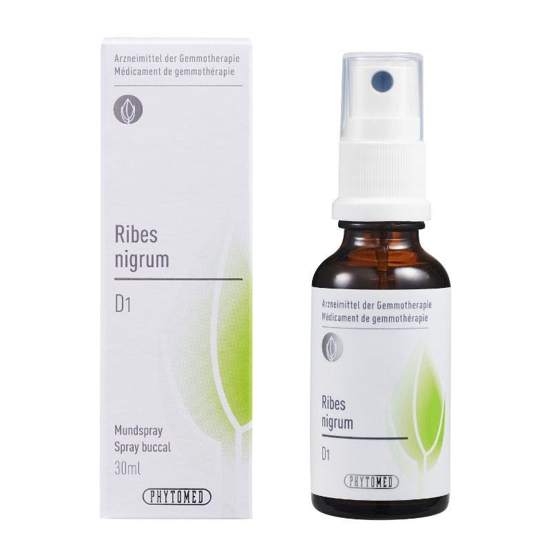 PHYTOMED Ribes nigrum liq 1 D Spr 30 ml