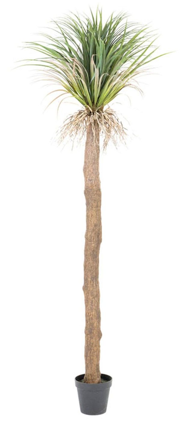 Kunstplant 403124 Agave B33 x D33 x H214 cm