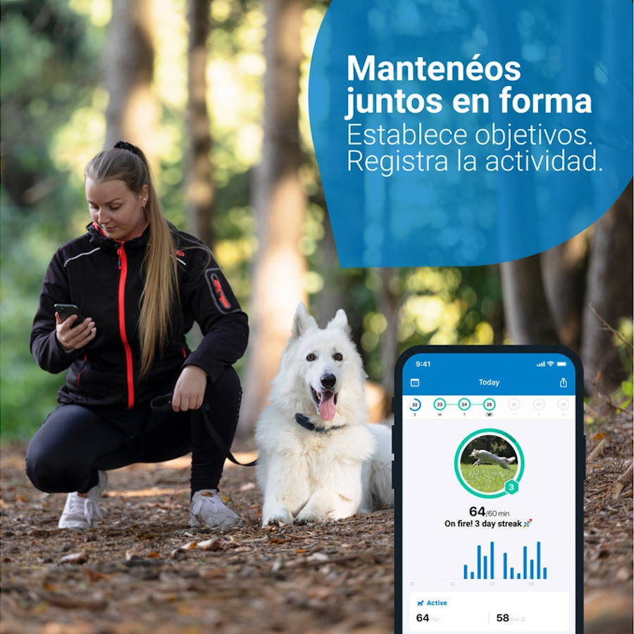 Rastreador GPS Tractive Blue para Cães