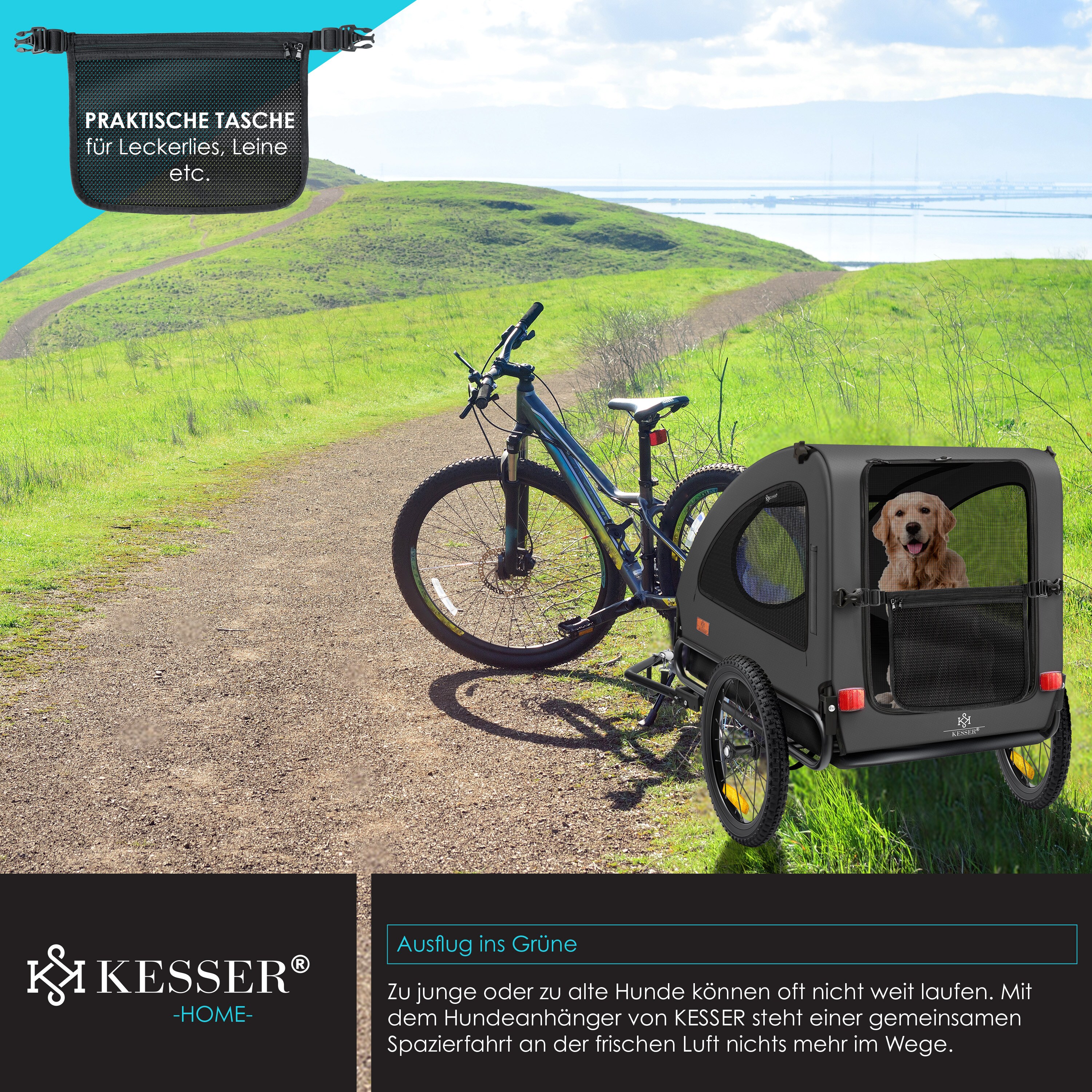 KESSER® Hundeanhänger Boxer 2-in-1 Hundebuggy Fahrradanhänger groß ca. 250L Volumen - Inkl. Fahne und Tasche - 600D Oxford Canvas, Klappbar SmartSpace Concept, maximale Belastbarkeit: 45kg