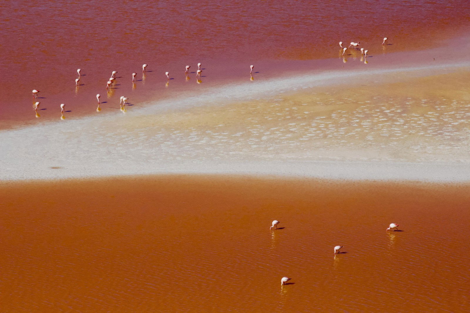 Red Laguna IV by Melina Gerdts - Limited Edition. Edition of: 150. Signed.