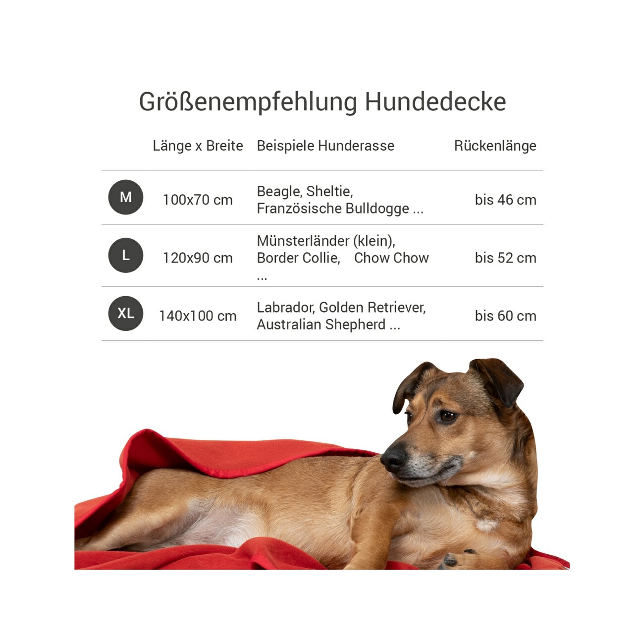 Doctor Bark Kuscheldecke Fleece rot M