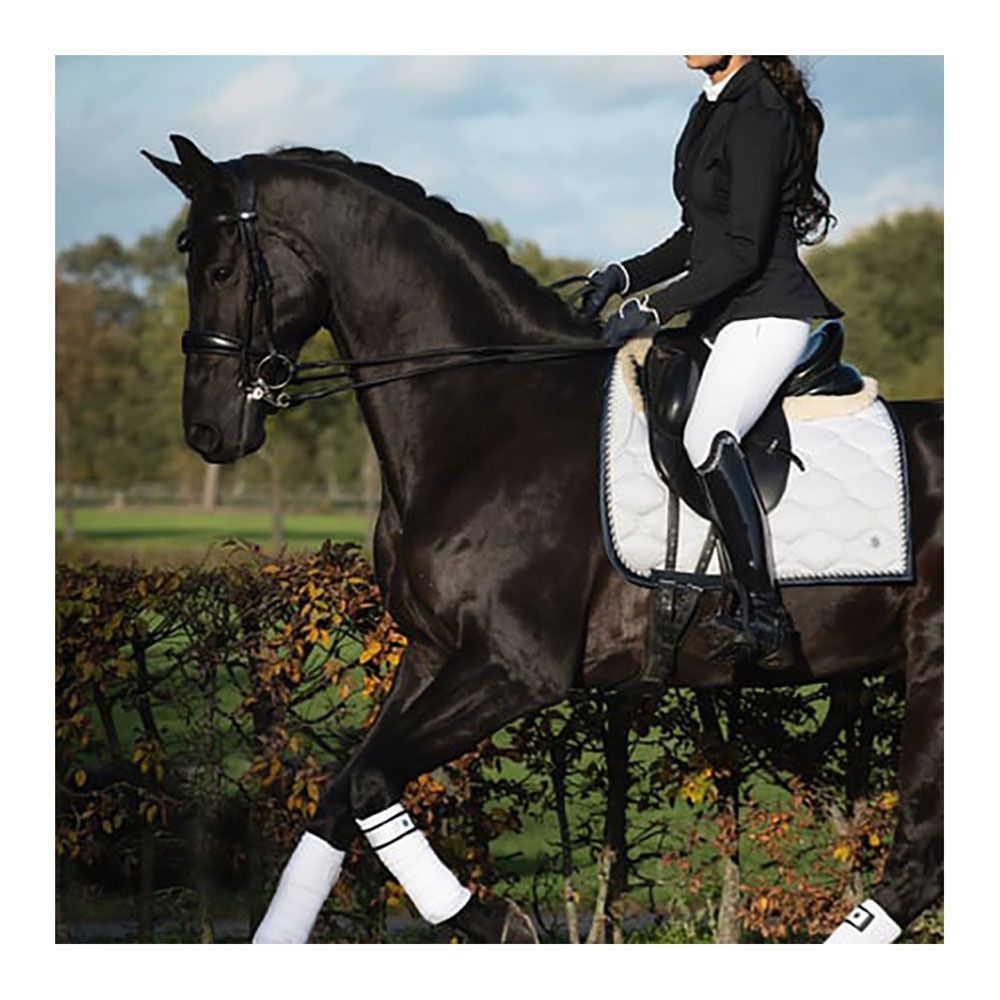 PS of Sweden SIGNATURE - Tapis de dressage white