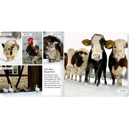 Coppenrath Verlag Meine liebsten Tiere im Winter