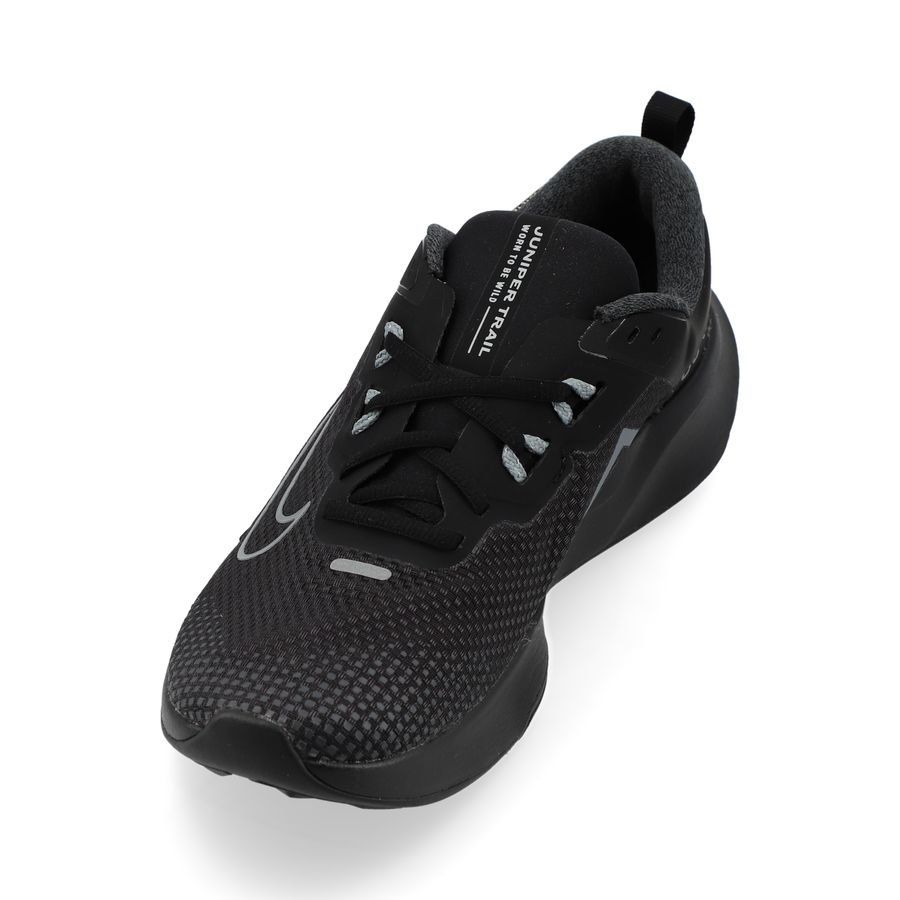 Nike Chaussures de Running Juniper Trail 2 Gore-Tex - Noir/Gris Femme