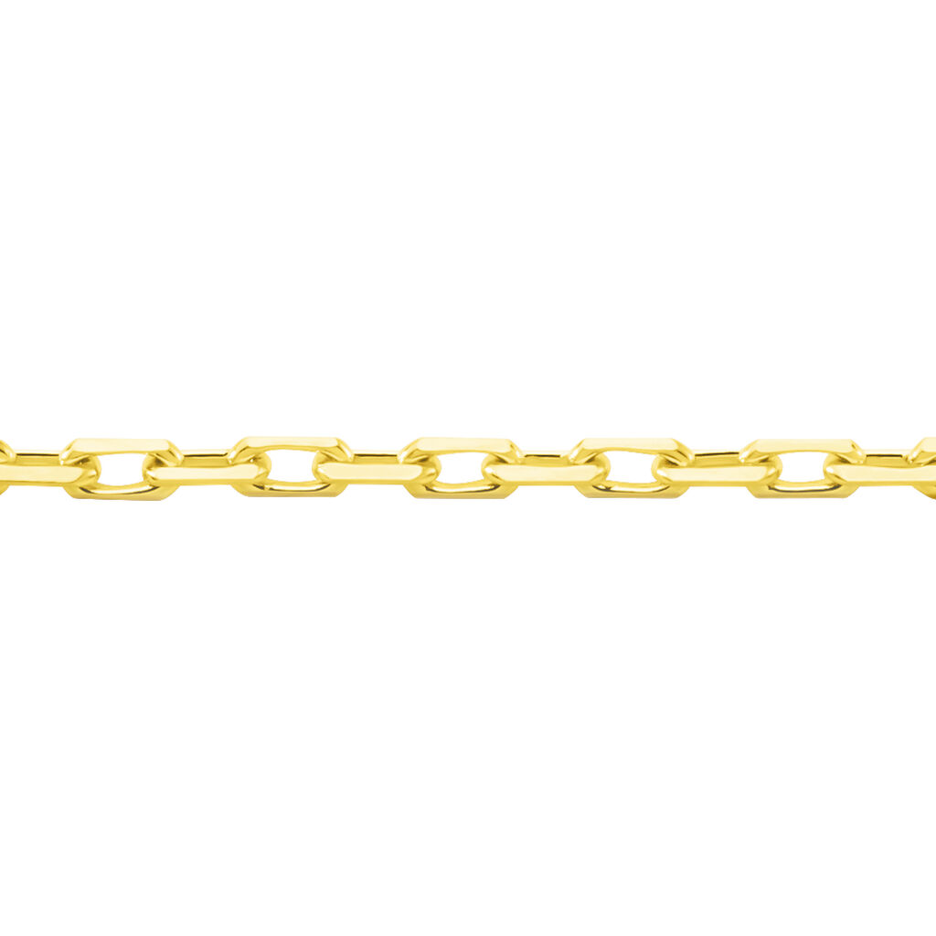 Chaine Or Jaune Forçat