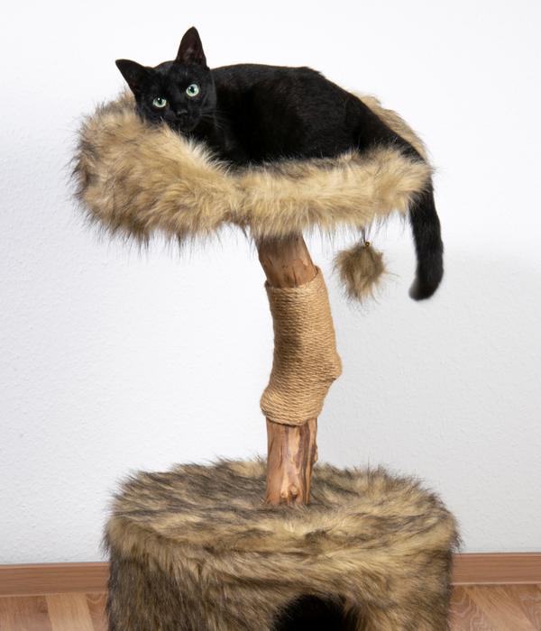 dobar® petlife Design-Katzenmöbel Ruby, ca.