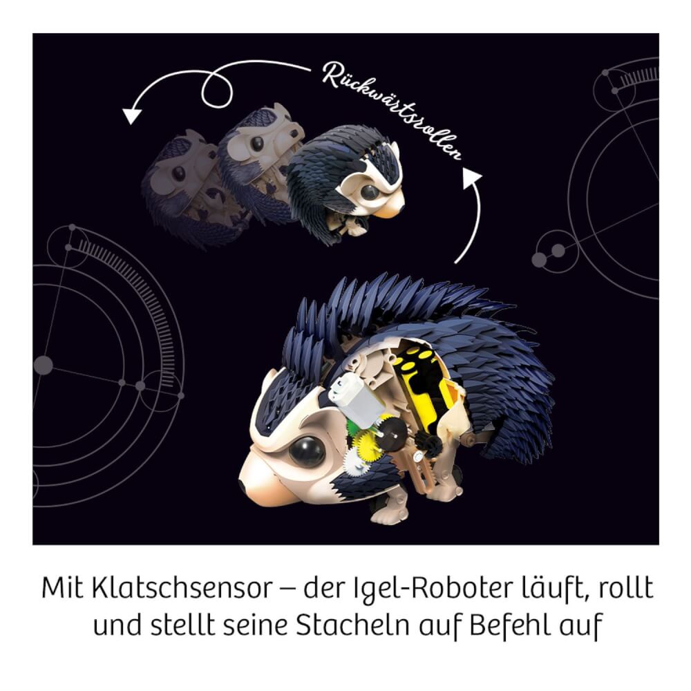 Nuna - Dein Igel-Roboter
