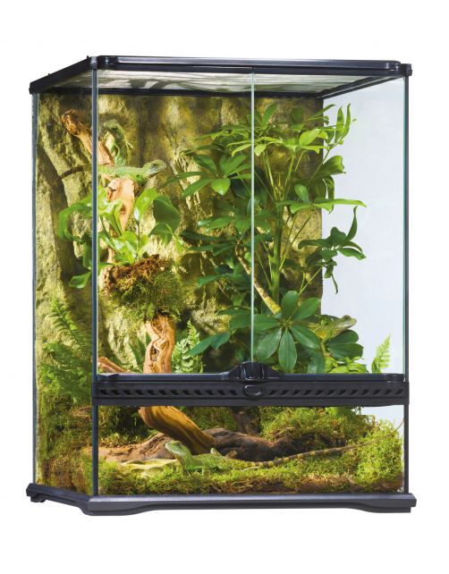 Exo Terra Glas Terrarium & Achterwand - Terraria