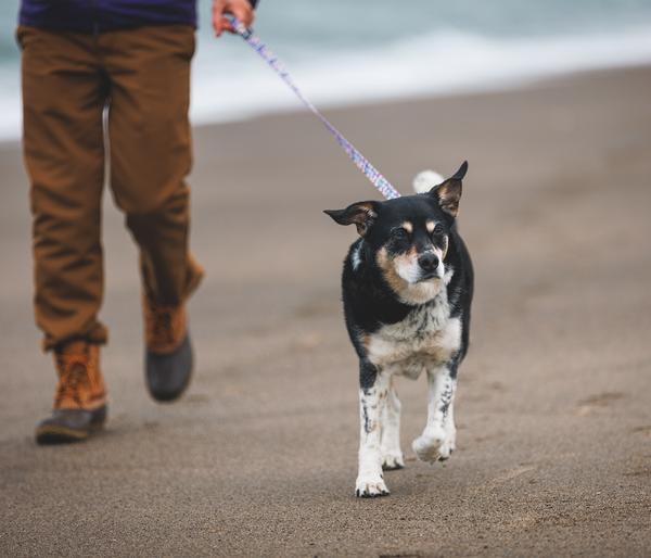RUFFWEAR® Hundeleine Front Range™,
