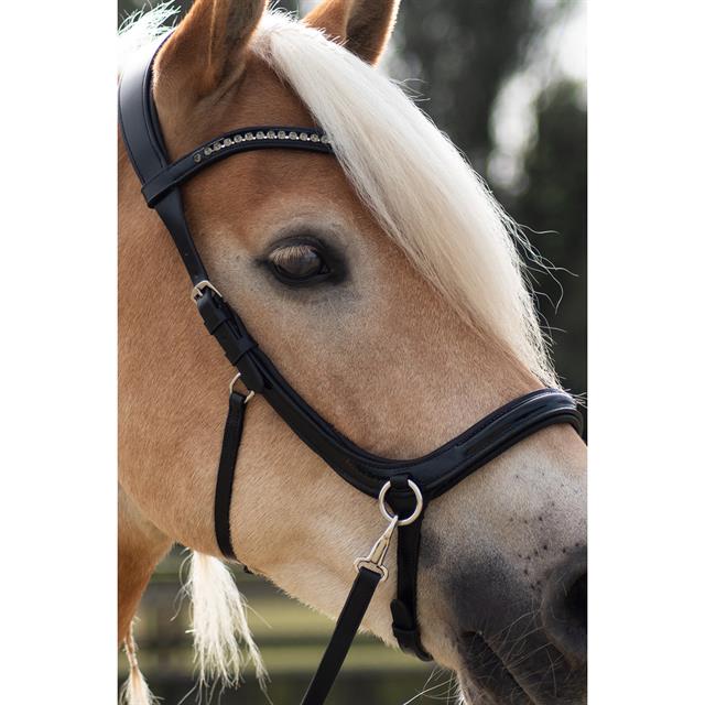 Bitloos Hoofdstel Free Horse FHLibertas Zwart