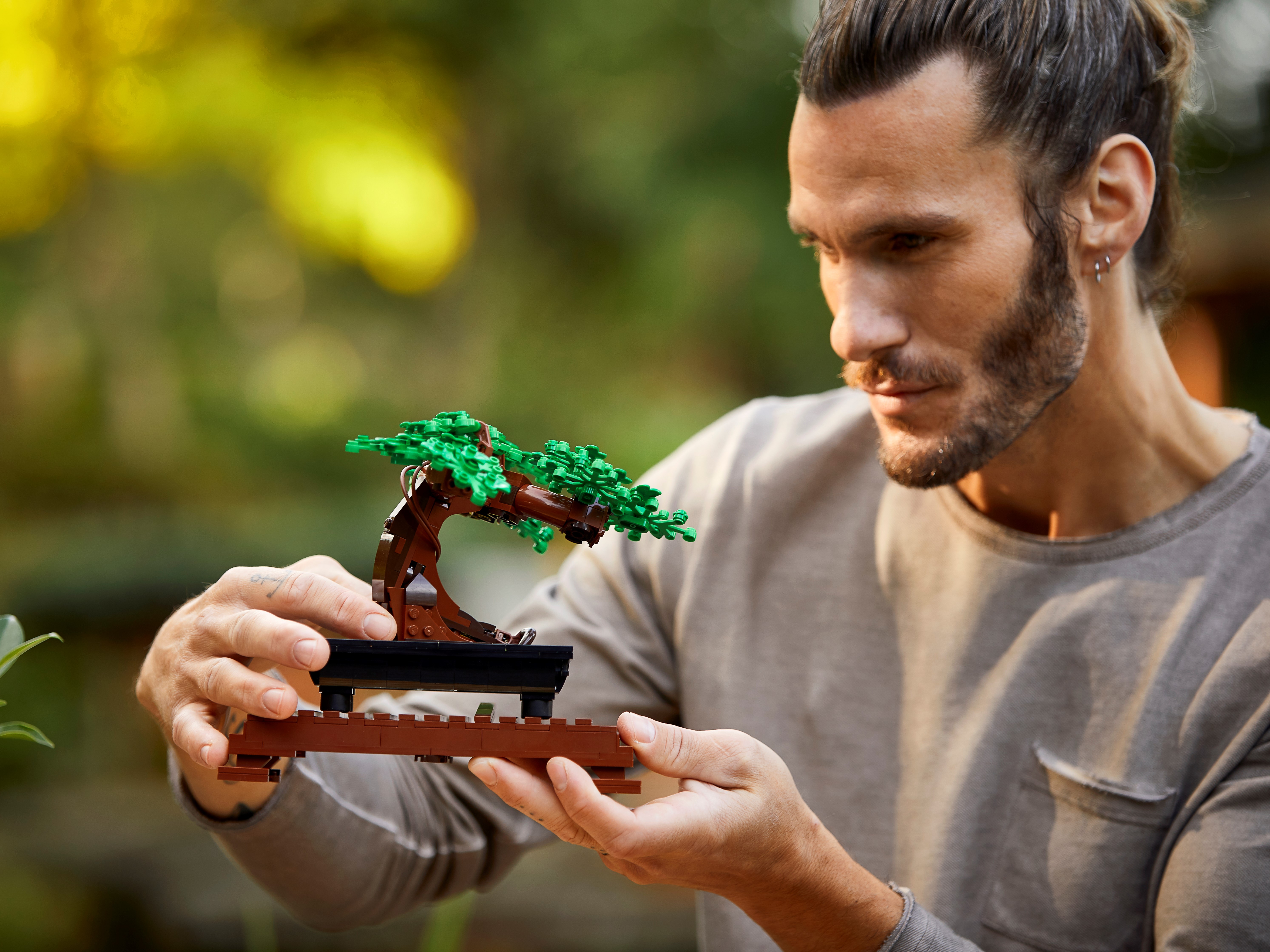Bonsai 10281
