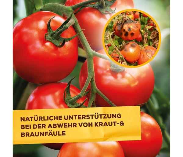 Solabiol® Grundstoff Lecithin Spray,