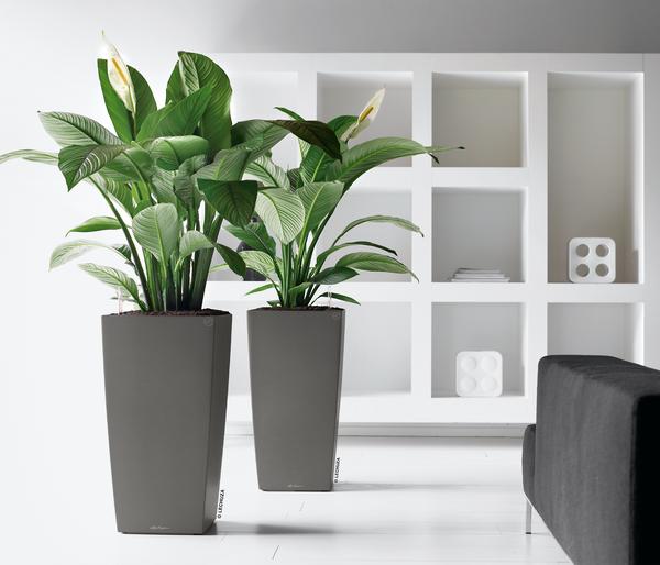 LECHUZA® CUBICO Premium, All-in-One-Set