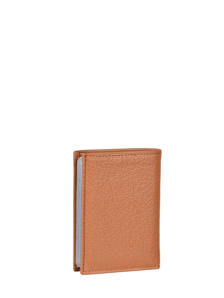 Porte-cartes cuir HEXAGONA