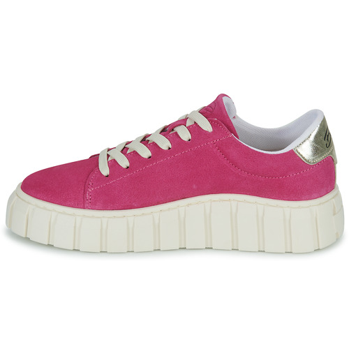 Betty London - MABELLE - Rose / Blanc