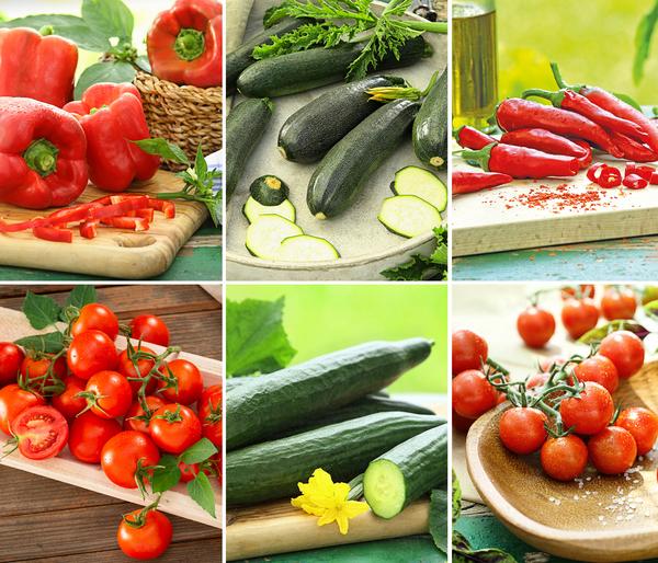 Gemüse-Set Großer Gemüsegarten, 6-teilig