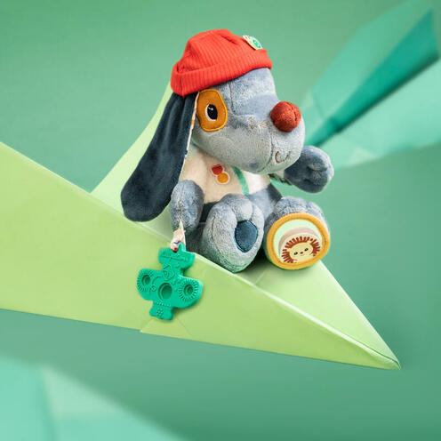 JULES CHIEN MULTI-ACTIVITES - LILLIPUTIENS