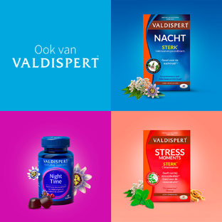 Valdispert Dag & Nacht Tabletten 60TB