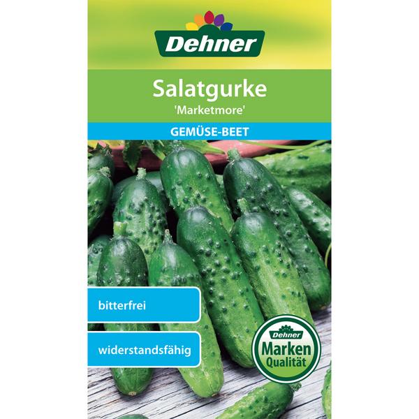 Dehner Samen Salatgurke 'Marketmore'