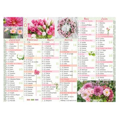 Mini calendrier illustré - 6 mois par face - 13,5 x 17,5 cm - différents modèles disponibles - Oberthur