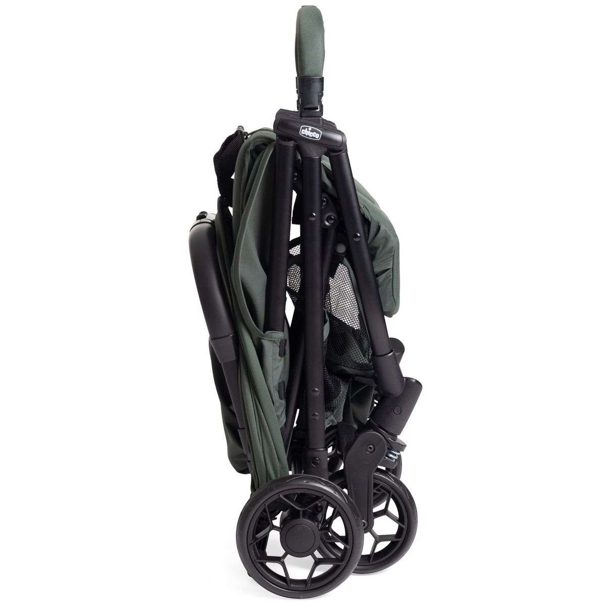 ChiccoChicco   Urbino evergreen