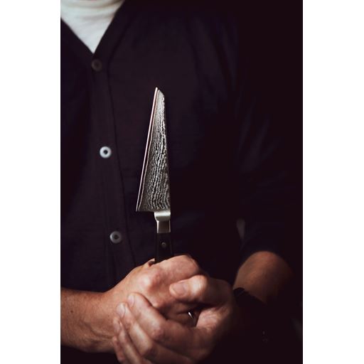 Endeavour Honesuki Kniv, 13 cm