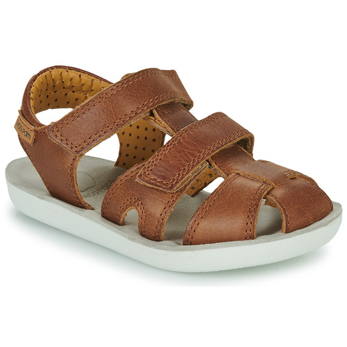 Shoo Pom - GOA NEW SCRATCH - Marron