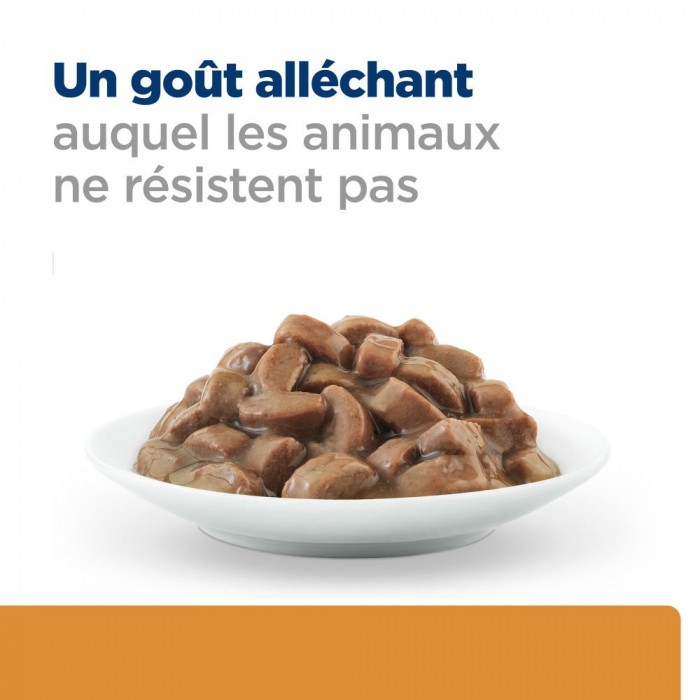 HILL'S Prescription Diet k/d Kidney Care en bouchées au Saumon - Pâtée pour chat