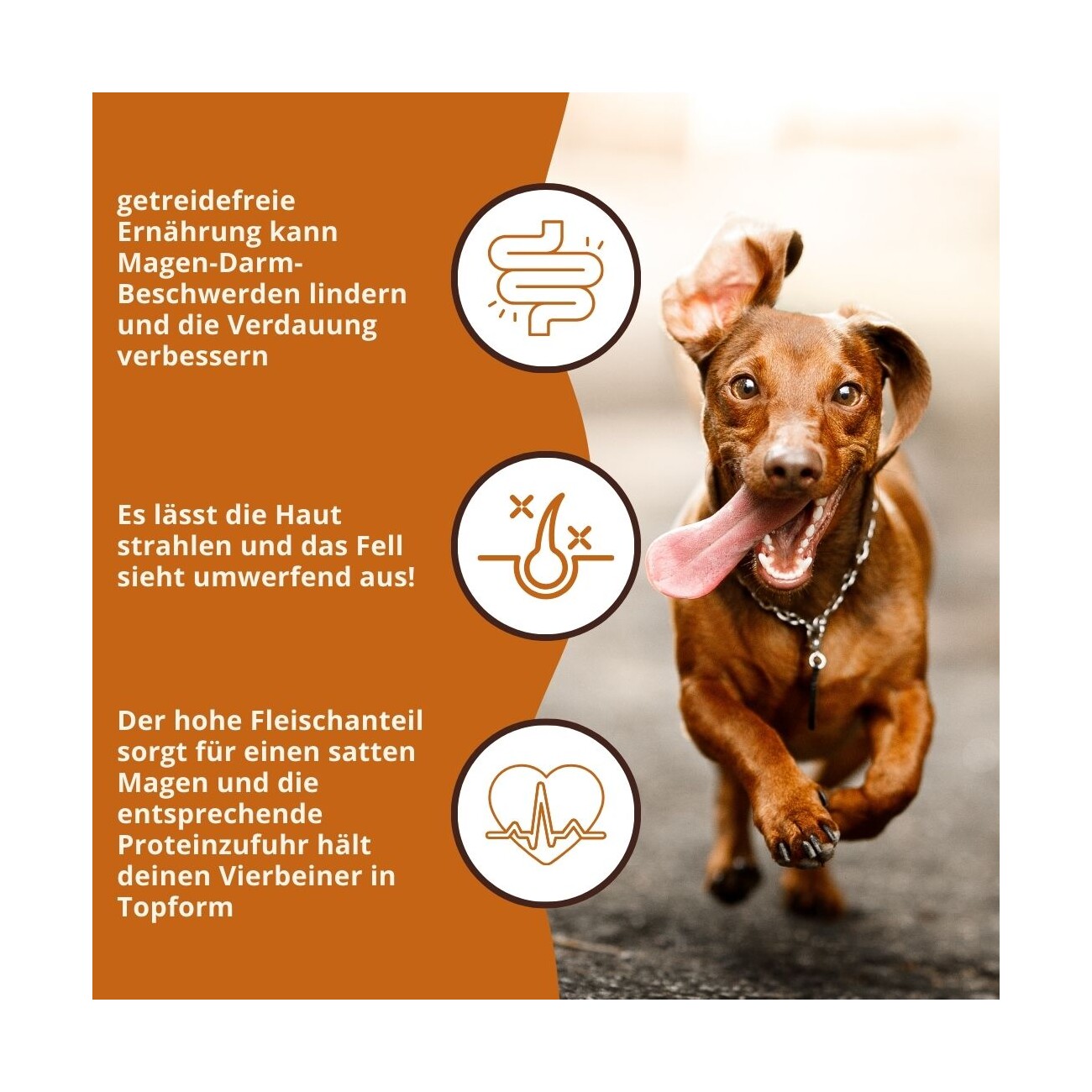 Wildfang ® Adult Trockenfutter mit Huhn 2 kg