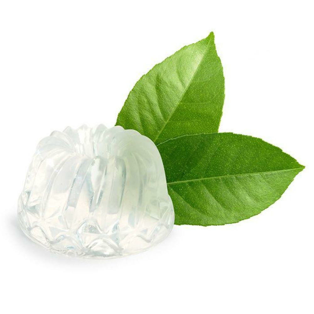 Savon à mouler 100 g - translucide