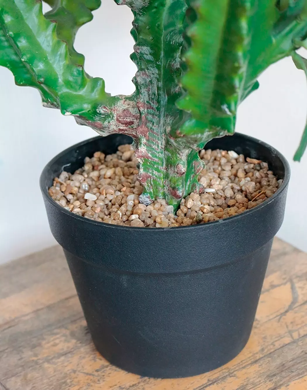 Kunstpflanze Euphorbia 88 cm