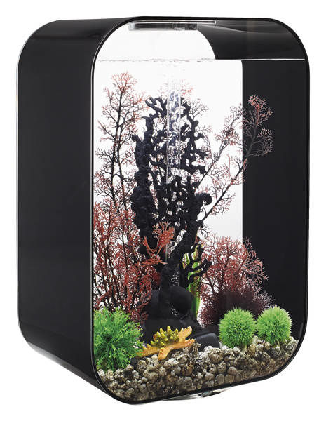 biOrb Life 60 MCR Zwart | Aquarium