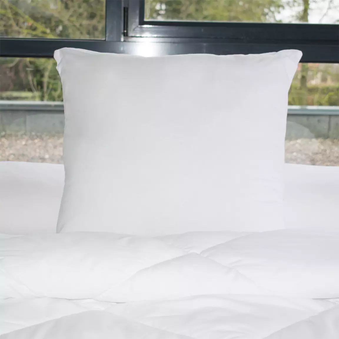 Lot de 2 oreillers carrés moelleux (60 x 60 cm) Lavables à 95 ° Blanc