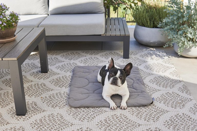 MiaCara Linea hondenplaid small anthracite