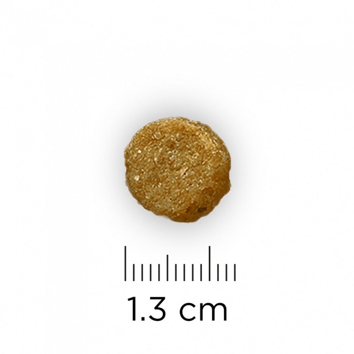 HILL'S Prescription Diet c/d Urinary Care Multicare au Poulet - Croquettes pour chien