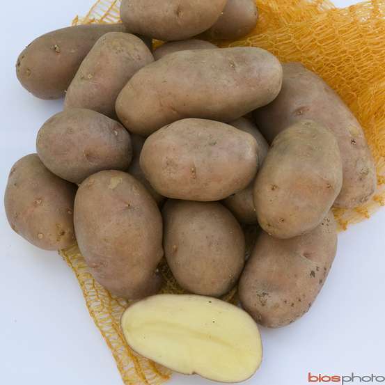 Plants de pommes de terre 'Rosabelle' en sac - 1,5 kg