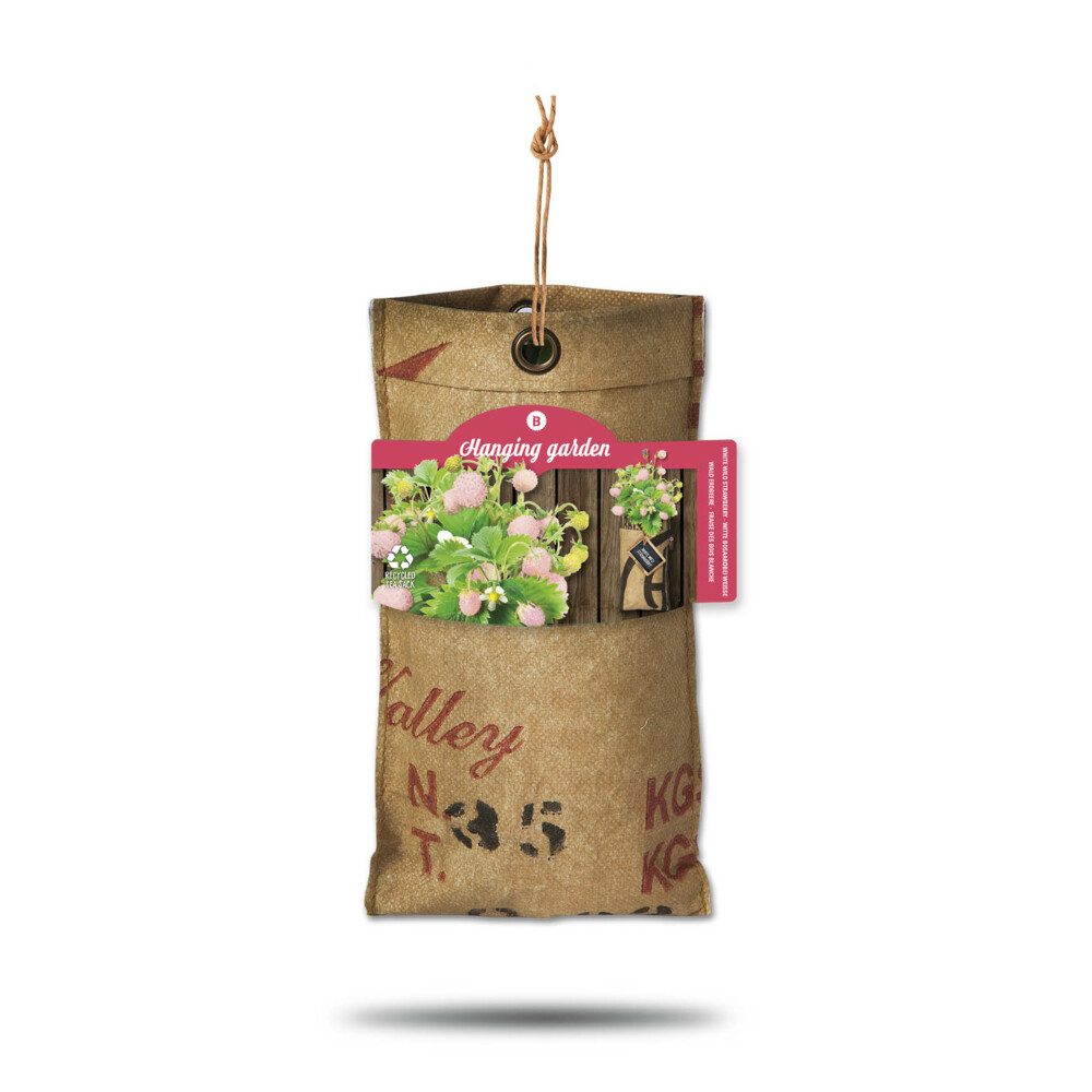 Baza Hangtuintjes Set Aardbeien1 set