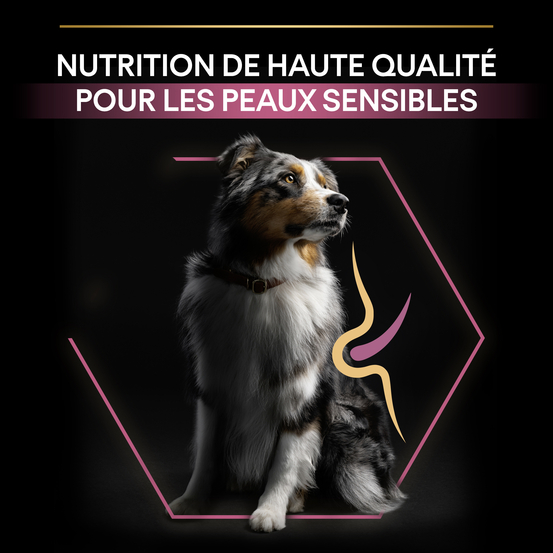 Croquettes chien adulte peau sensible Super Premium - 3 kg
