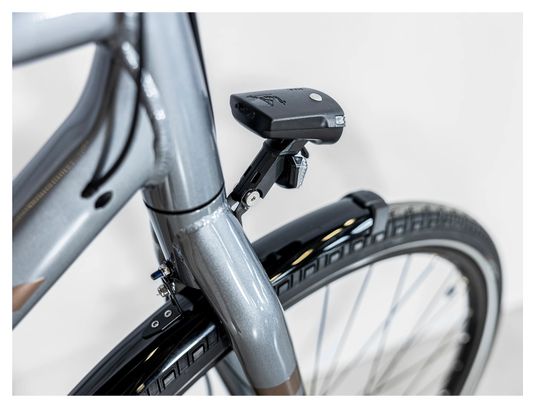 Vélo de Ville Trek Verve 1 Equipped Shimano Tourney/Altus 8V Gris