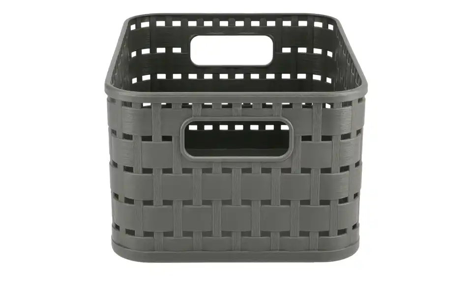Rotho Aufbewahrungsbox 13,7 cm
