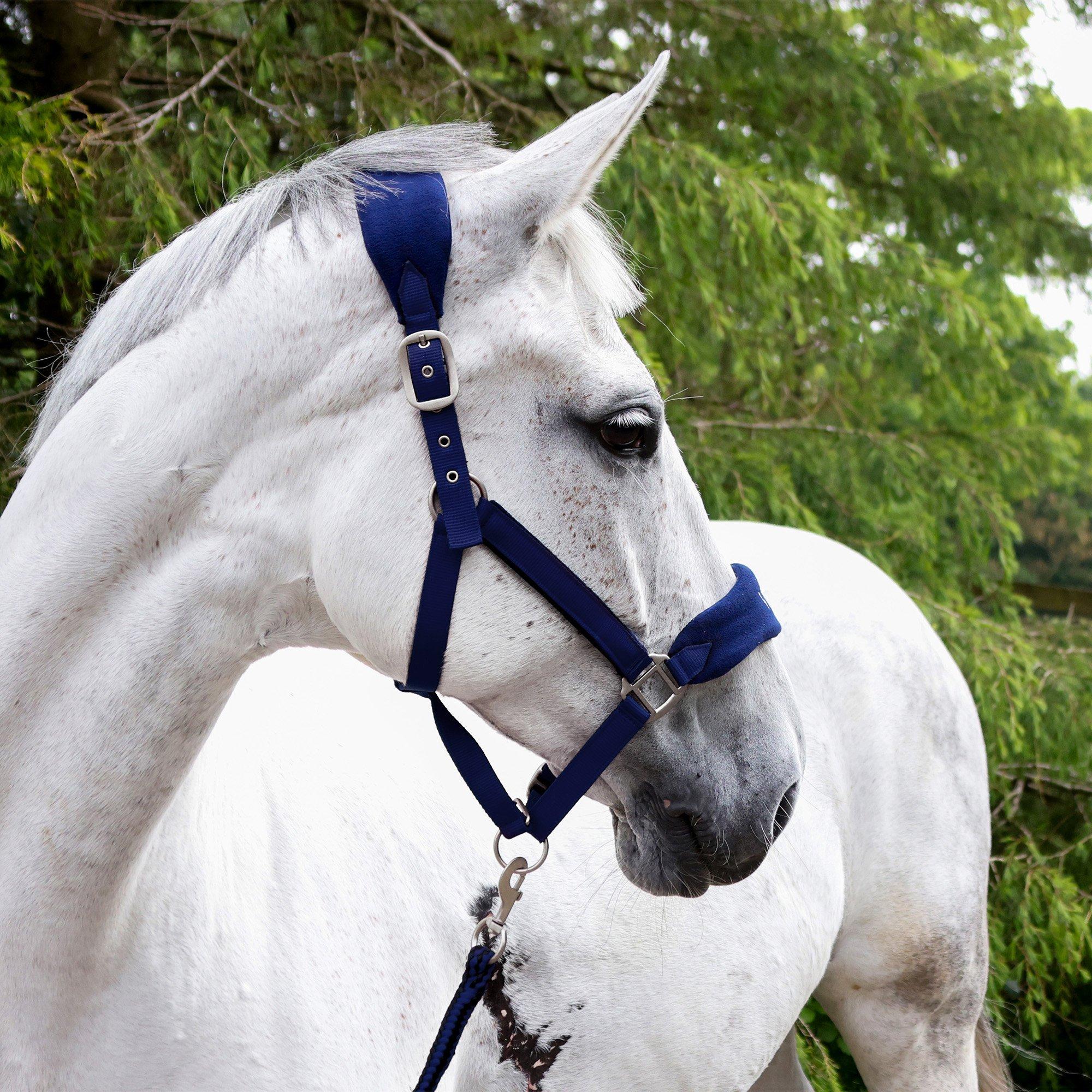 John Whitaker Club Headcollar and Lead Rope Set