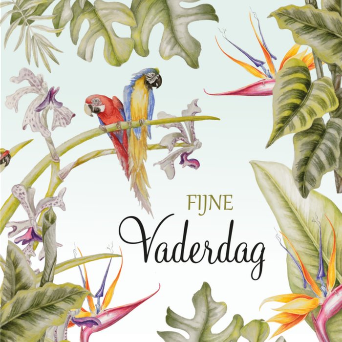 Janneke Brinkman | Vaderdagkaart | tropisch