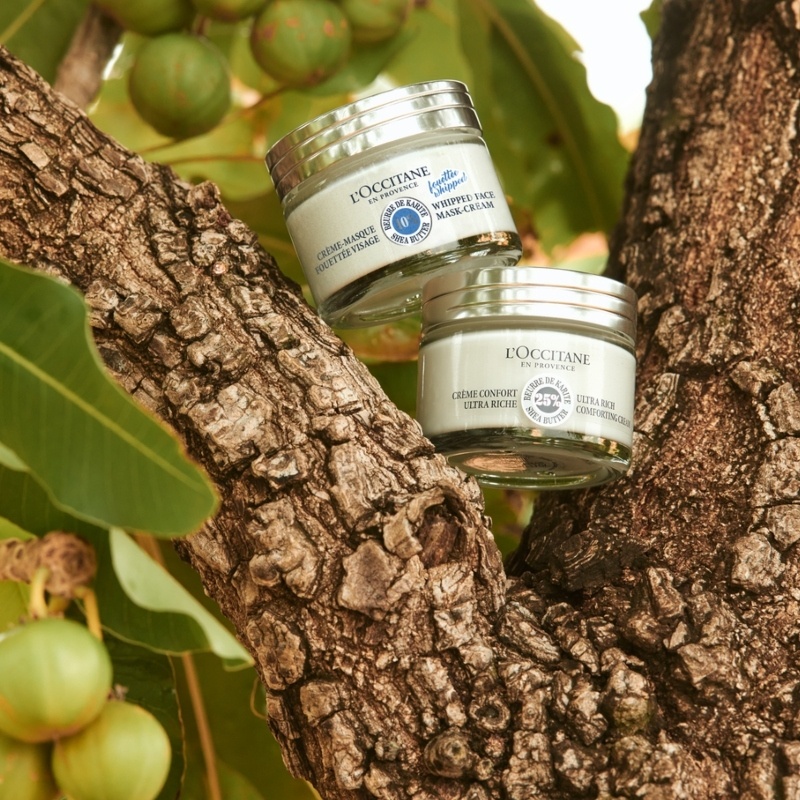 L'Occitane Shea Ultra Rich Comforting Cream 50 ml