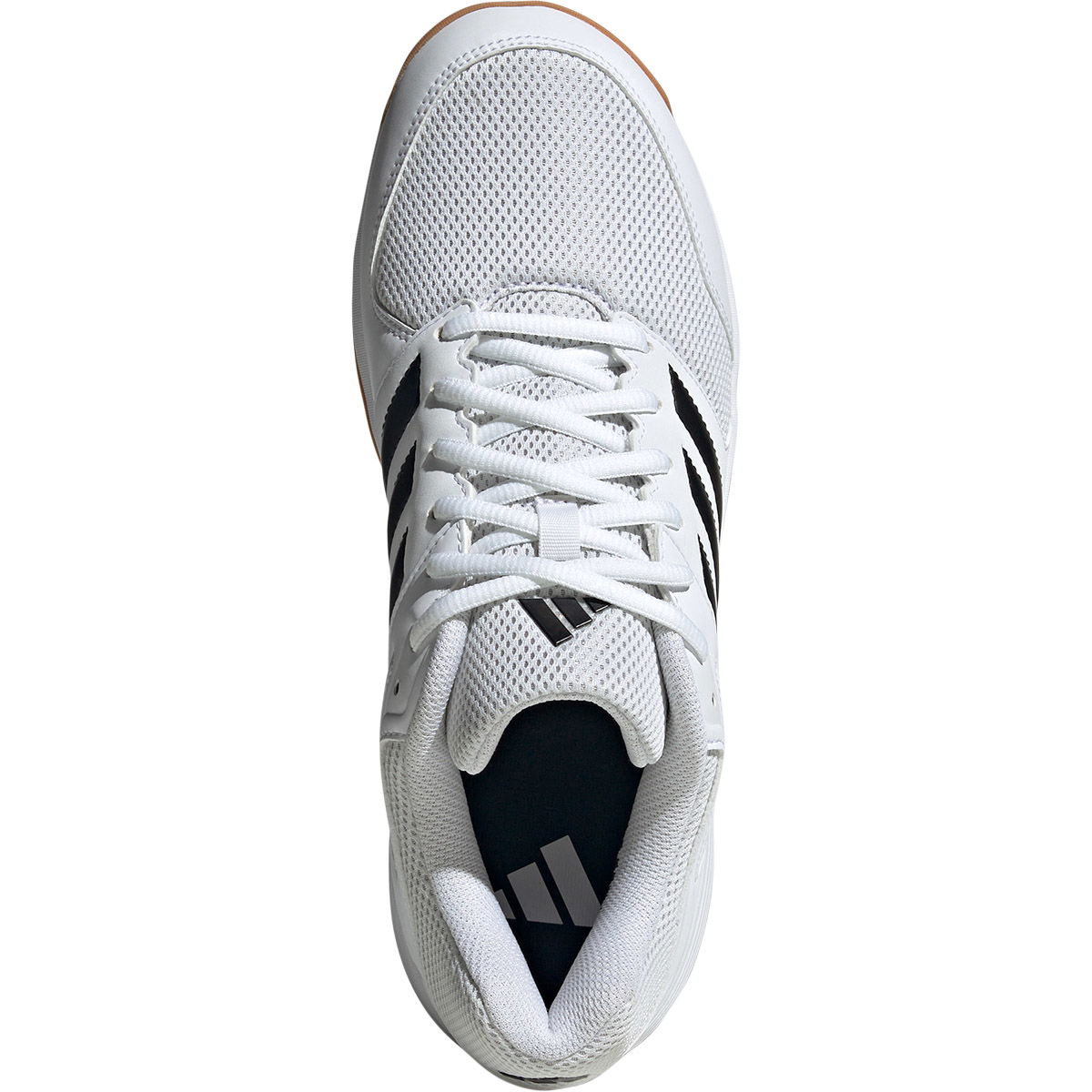adidas Speedcourt Indendørssko Herre